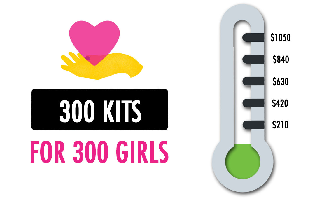 300 period kit donations